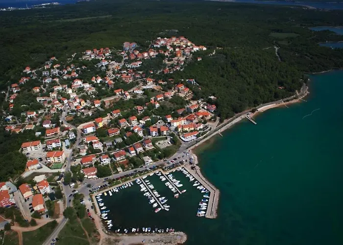 Dinka Čižići
