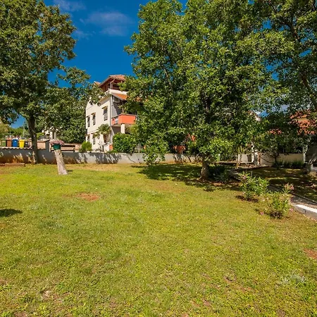 Dinka Čižići