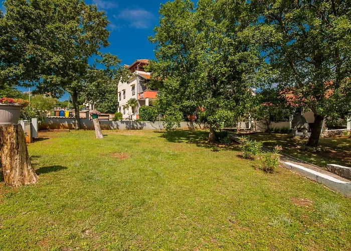 Dinka Čižići